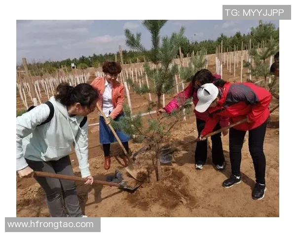 王岚的音乐旅程与人生哲学探索:从歌声中看见真实自我与梦想追寻
